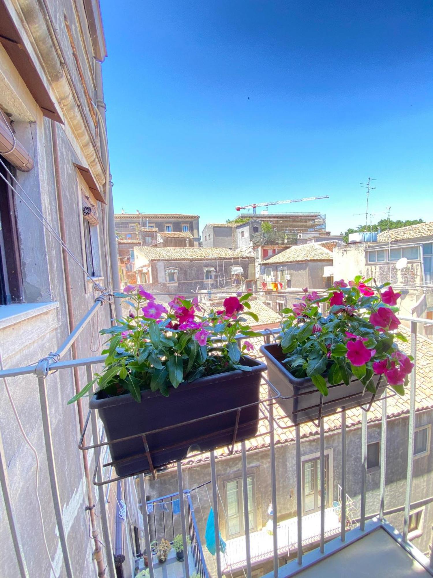 Dimora Dei Minoriti Bed & Breakfast คาตาเนีย ภายนอก รูปภาพ